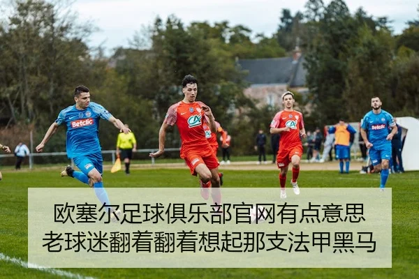 ou-sai-er-zu-qiu-ju-le-bu-guan-wang-you-dian-yi-si-lao-qiu-mi-fan-zhe-fan-zhuo-xiang-qi-na-zhi-fa-jia-hei-ma-2-198.jpg
