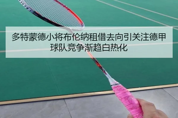 多特蒙德小将布伦纳租借去向引关注德甲球队竞争渐趋白热化